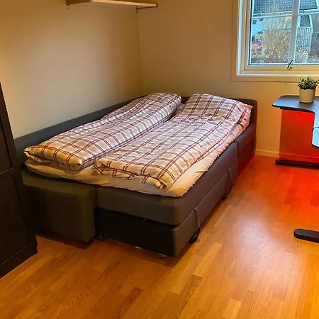 Large Single-family For Rent World Cup 2025 *