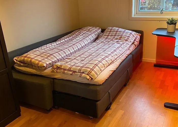 Large Single-family For Rent World Cup 2025 *